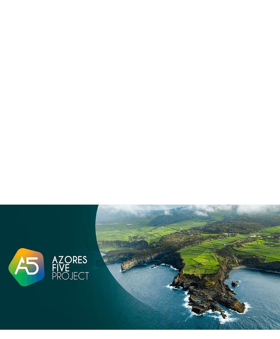 imagem representação de vencedor