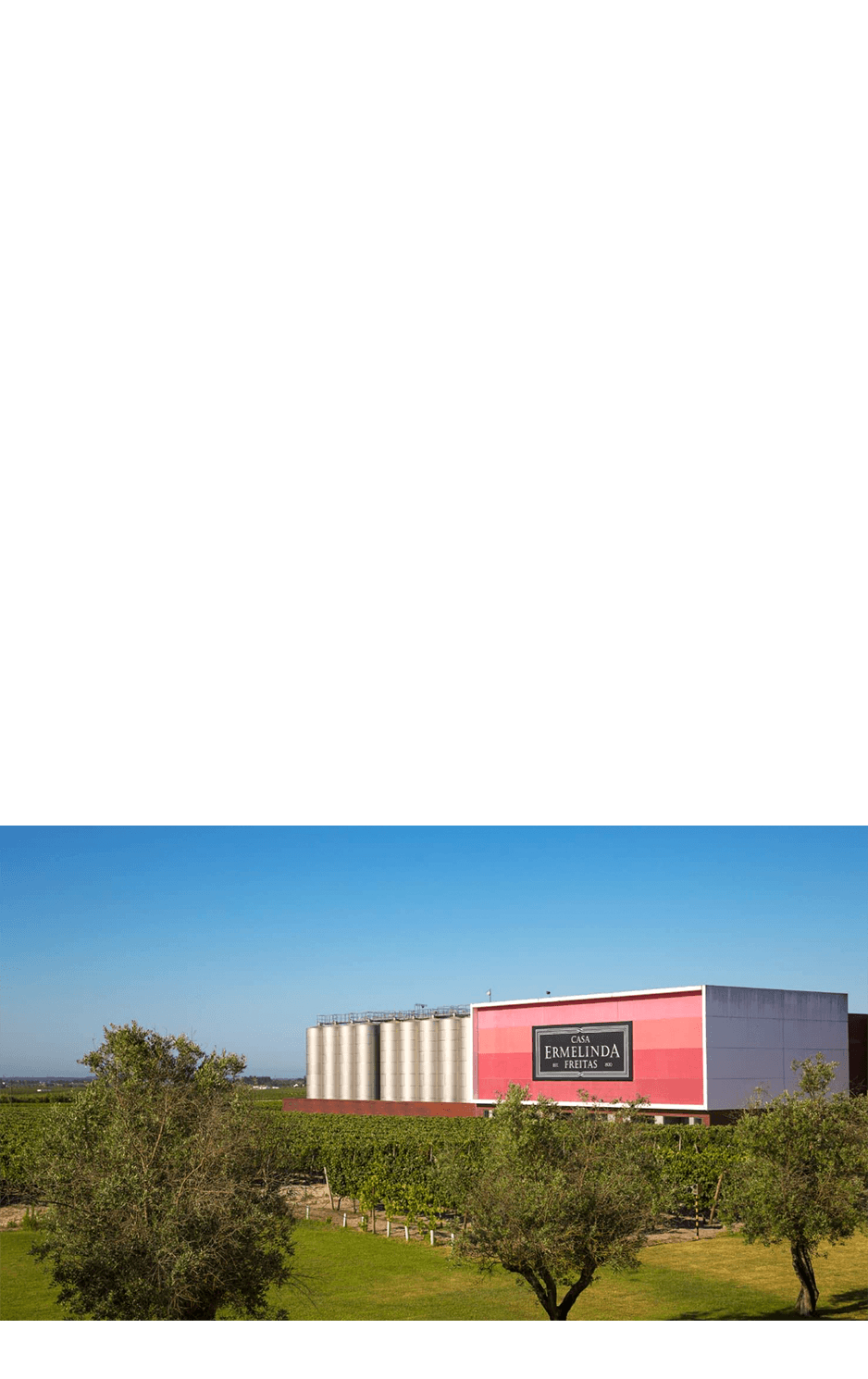 imagem representação de vencedor