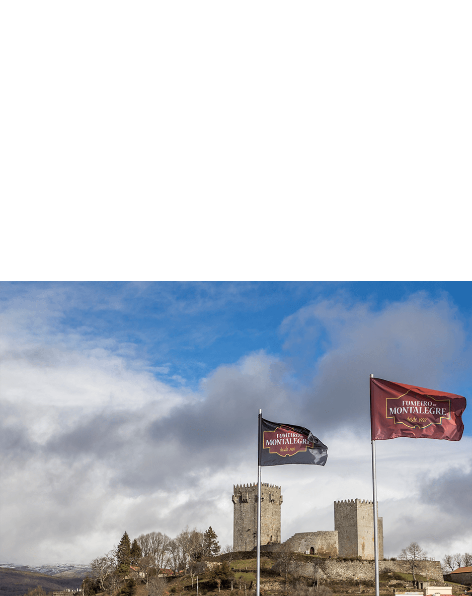 imagem representação de vencedor