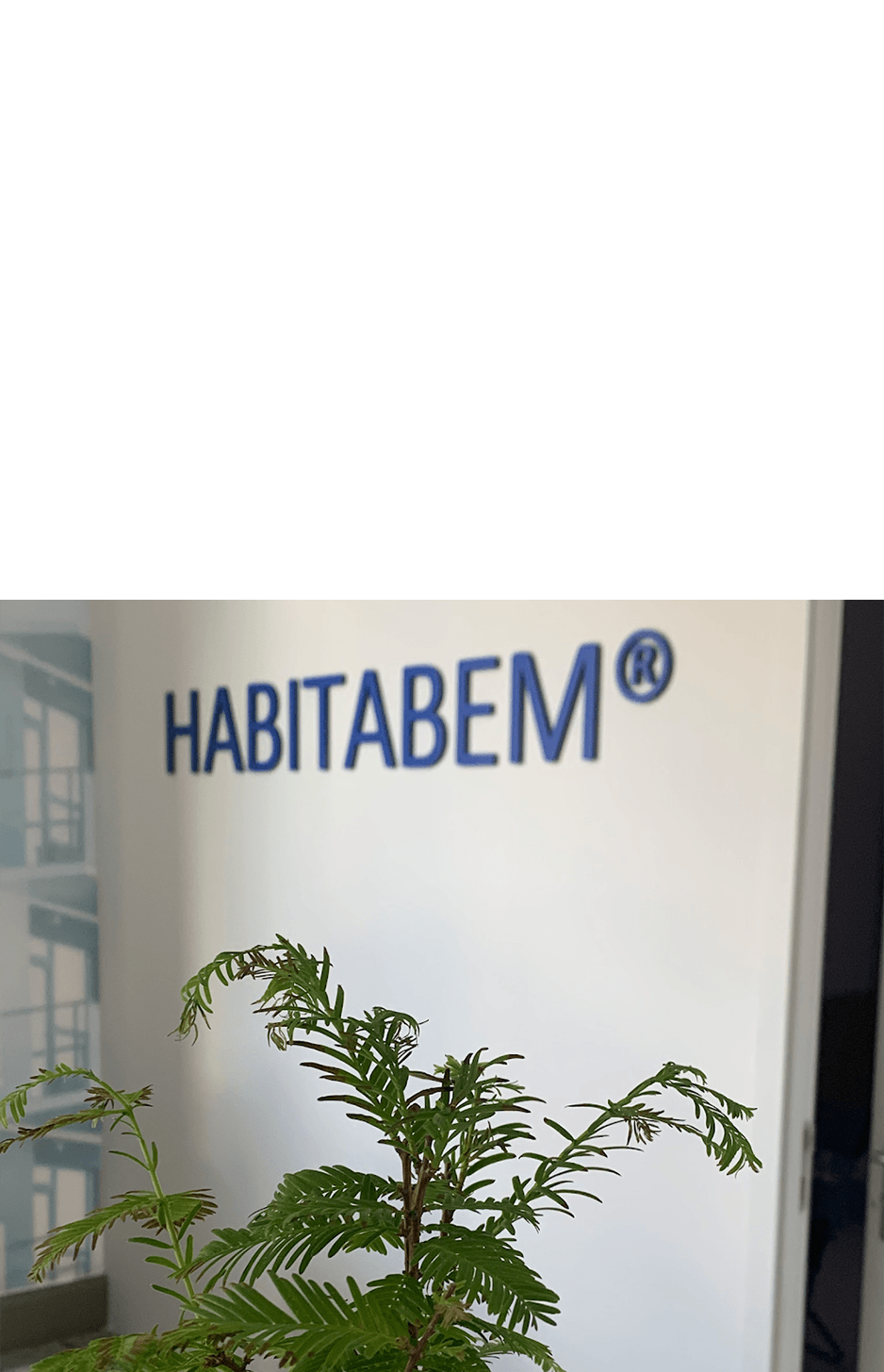 imagem representação de vencedor