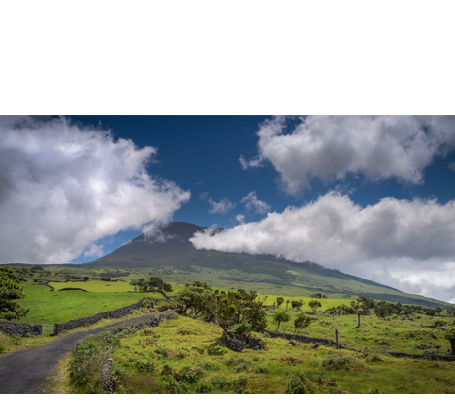imagem representação de vencedor
