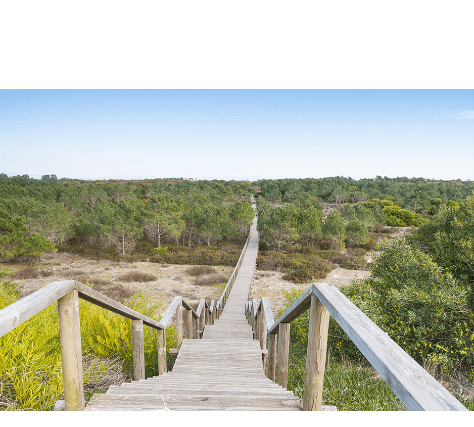imagem representação de vencedor