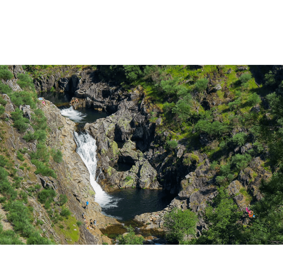 imagem representação de vencedor