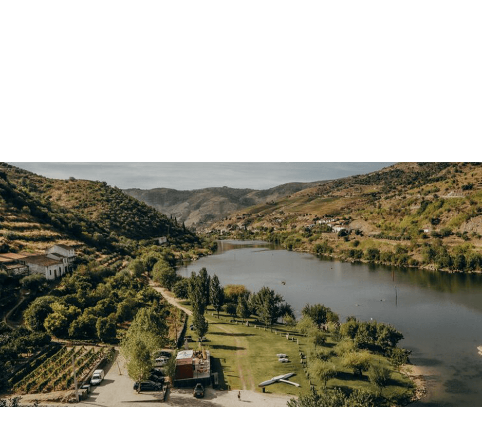 imagem representação de vencedor