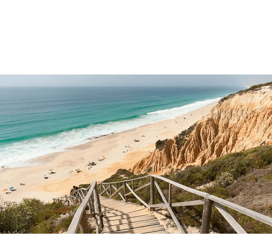 imagem representação de vencedor