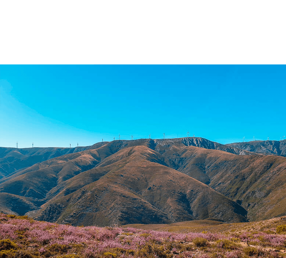 imagem representação de vencedor