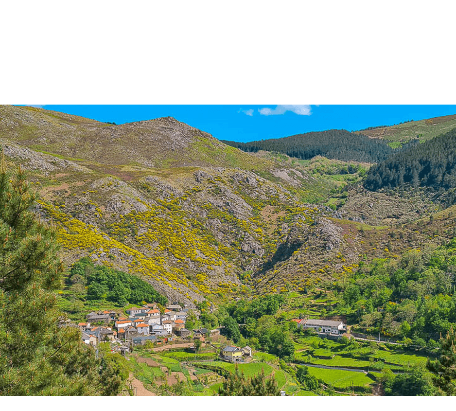 imagem representação de vencedor