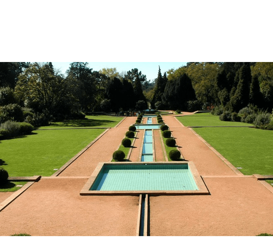 imagem representação de vencedor