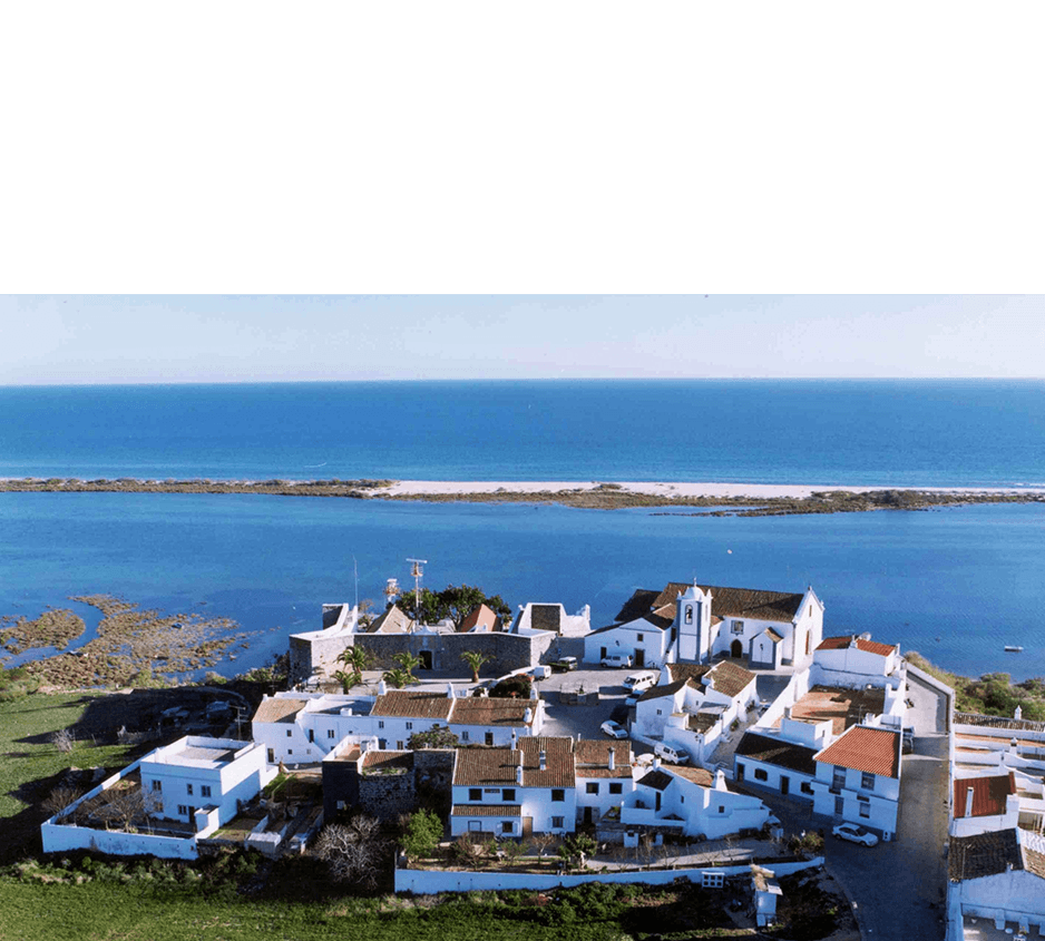 imagem representação de vencedor