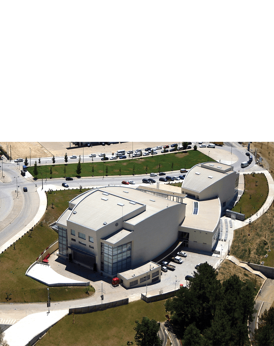 imagem representação de vencedor