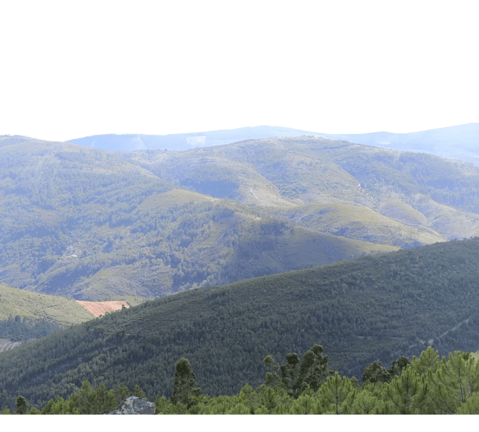 imagem representação de vencedor