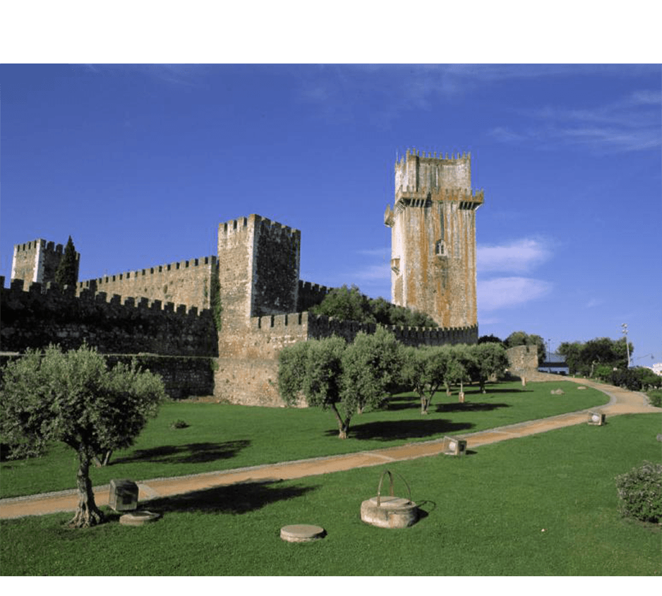 imagem representação de vencedor