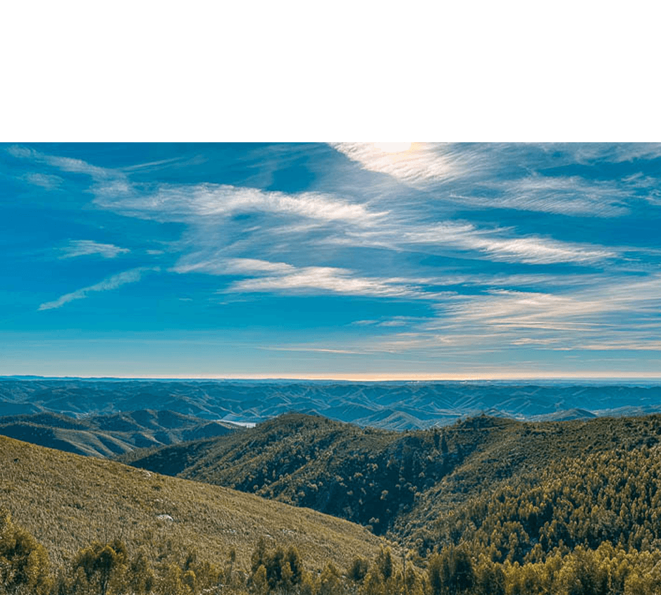 imagem representação de vencedor
