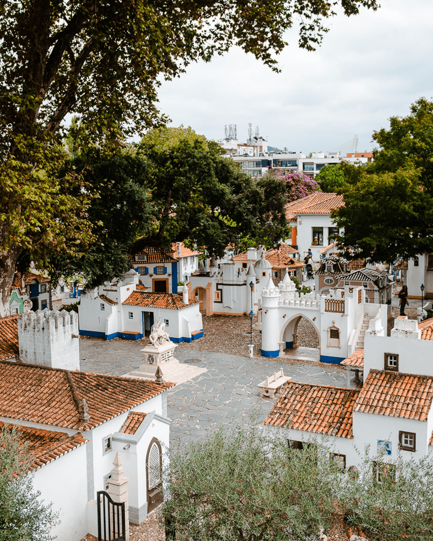 foto campanha